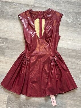 MICAS Burgundy  Fit-and-Flare Dress